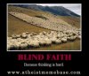 036-Blind-Faith-Becaue-thinking-is-hard-sheep.jpg